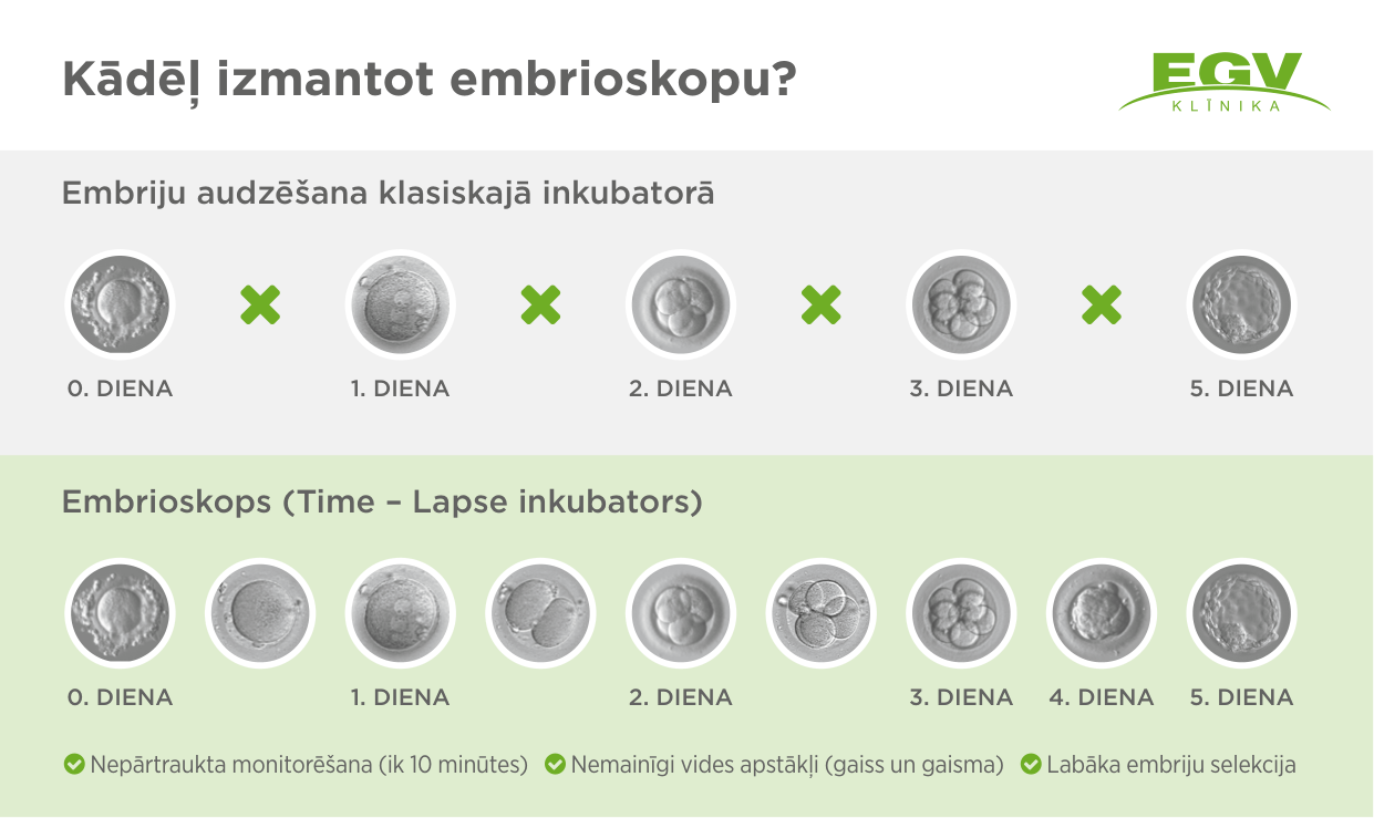 EGV infographic showing embryo monitoring system